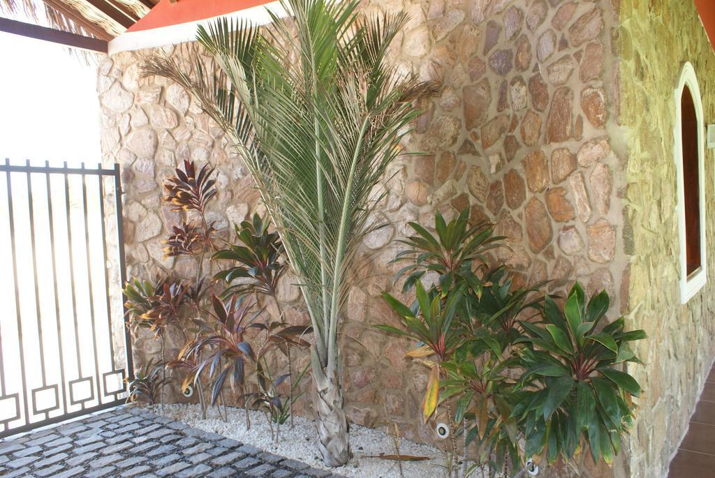 Flat La Fazenda Apartment Canoa Quebrada Exterior foto